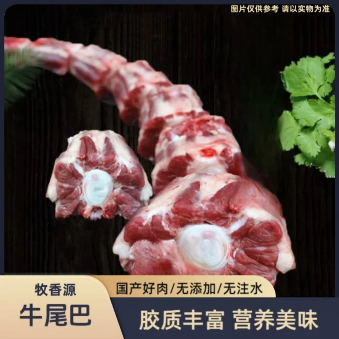【牛尾巴】小黄牛尾巴 鲜牛尾 连云港发货