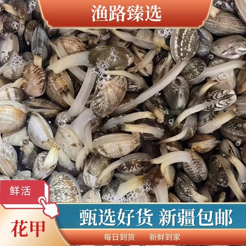 【新疆包邮】新鲜鲜活花甲 不单拍 蛤蜊1.5kg 新鲜肥美