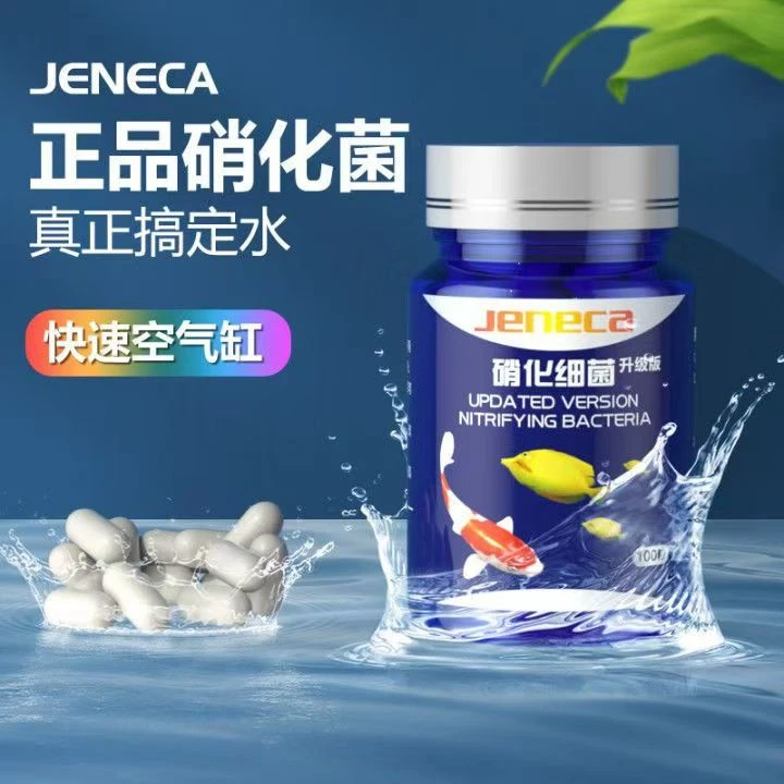 鱼缸硝化细菌胶囊去除腥味水质净化打造空气缸分解鱼粪必备用品