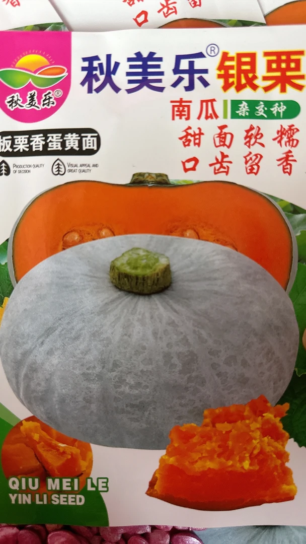 板栗南瓜干面香甜银栗南瓜种子