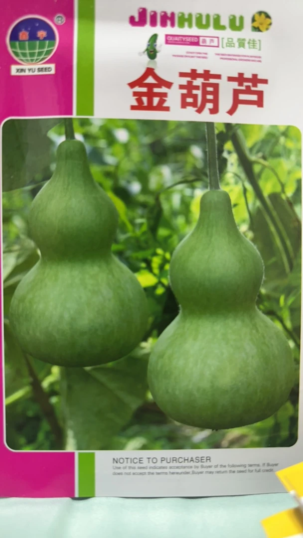 鑫宇金葫芦种子10粒