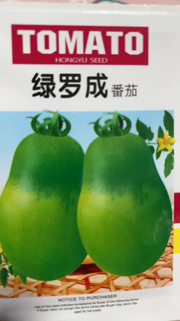 绿罗成柿子500粒