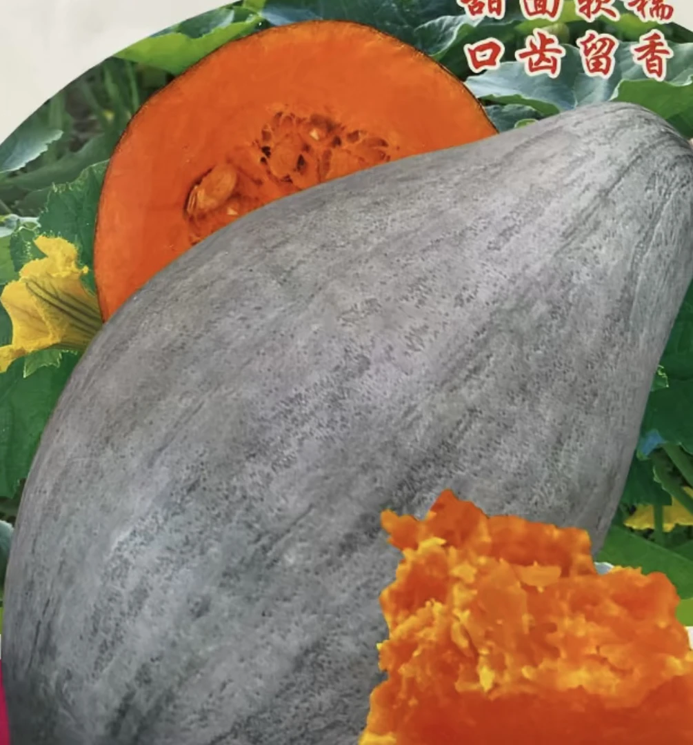 冰糖蛋黄香南瓜丑瓜籽