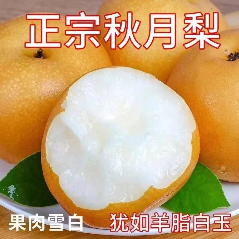 正宗山东莱阳秋月梨圆黄梨脆甜细腻无渣新鲜水果梨子