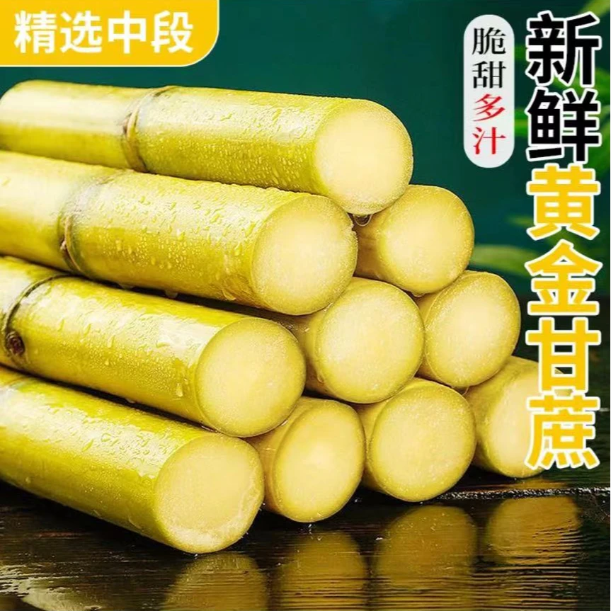 云南黄金甘蔗脆甜多汁新鲜水果产地直发