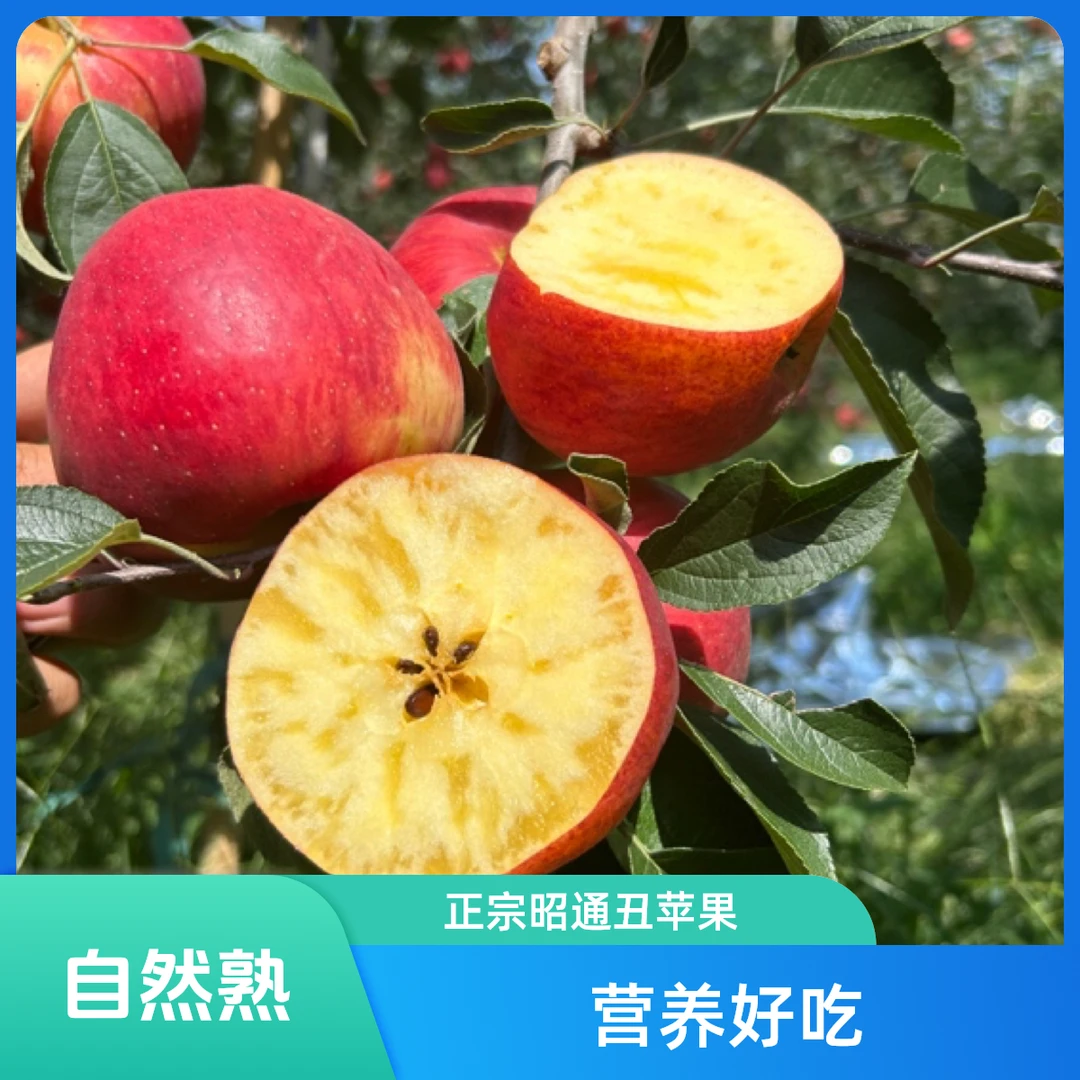 正宗昭通丑苹果冰糖心当季现摘新鲜营养好吃脆甜多汁5斤