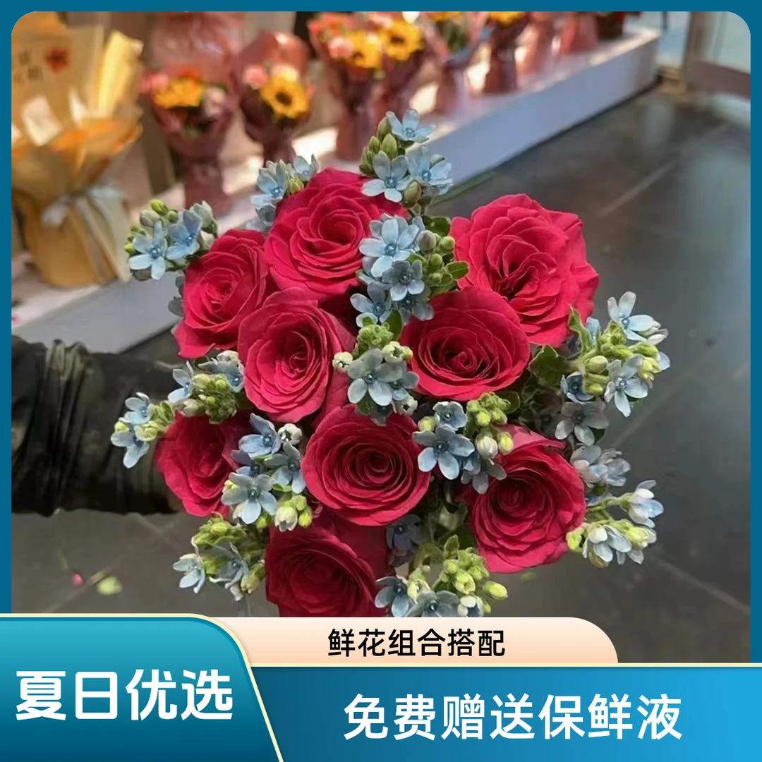 【夏日优选】鲜花组合搭配  热点10支+蓝星花1束