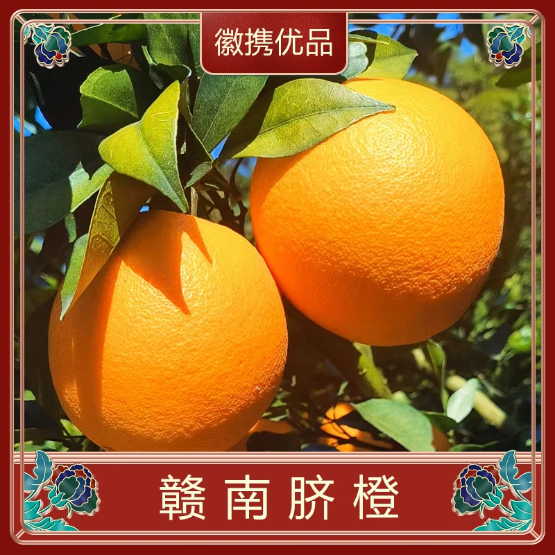 【徽携优品】赣南脐橙新鲜现摘大果橙子产地直发净重5斤/9斤可选A