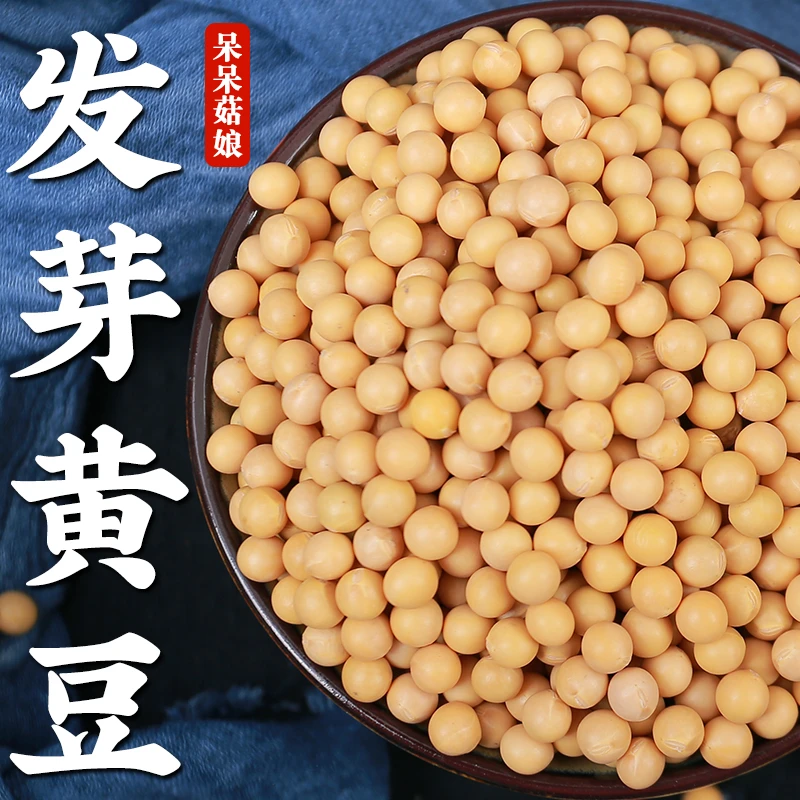 【冲量新品】发芽黄豆500g小黄豆发芽黄豆打豆浆原料黄豆芽专用杂粮