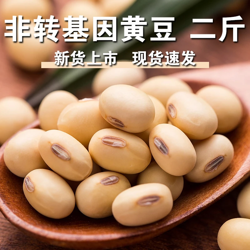 【品牌保障】非转基因黄豆1000克笨黄豆老黄豆煮粥土黄豆五谷杂粮
