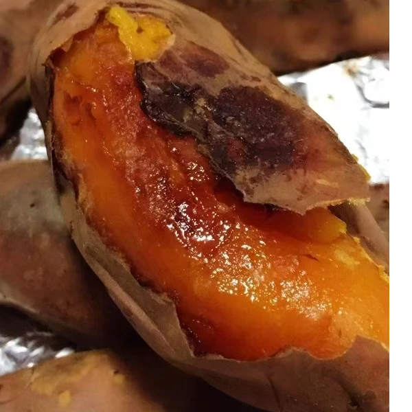 丘陵沙土地烟薯25