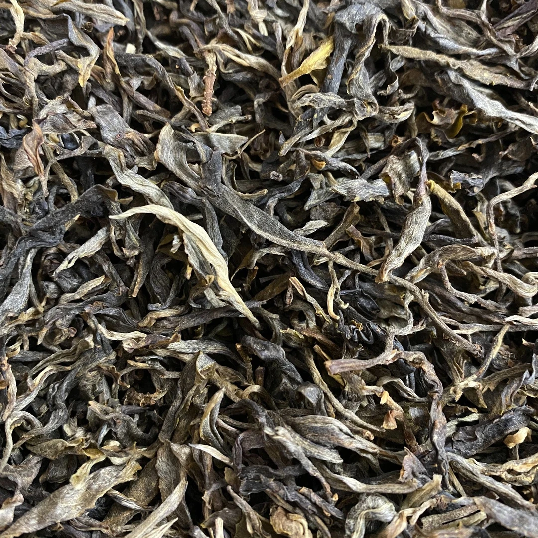 云南普洱忙肺古树单株滇绿（晒青）