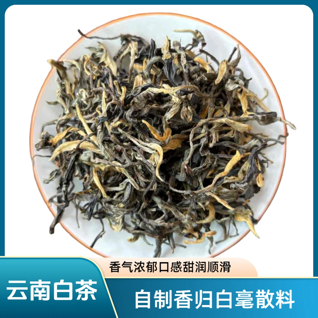 2025老头自制香归白毫白茶散料（贡眉）