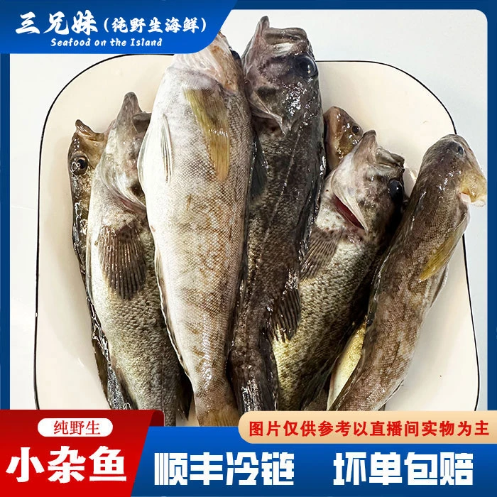 【每份4斤】纯野生小杂鱼，每箱2种鱼黑/黄鱼为主，每斤10-15条左右