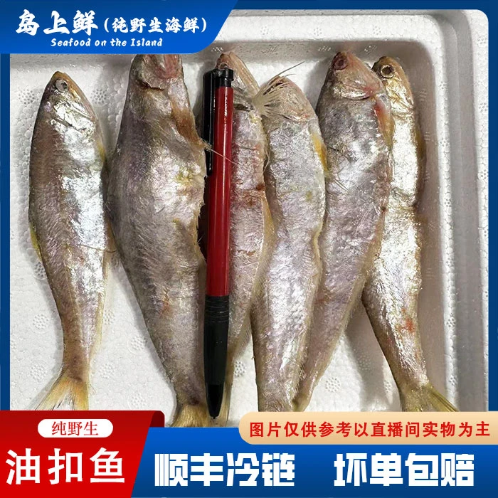 【每份4斤-油扣鱼】冻发毛扣鱼/各别破肚不影响食用/嫌小别拍/