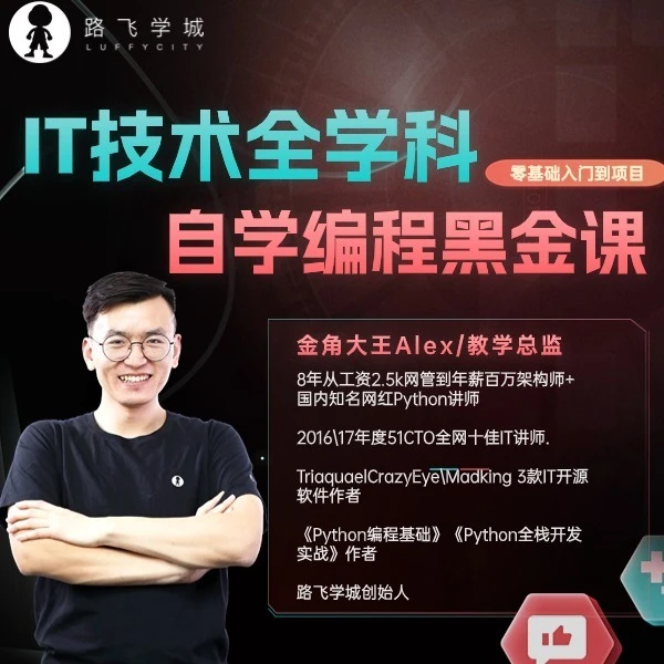 PYthon云计算前端AI数据分析Java网络安全GO全学科IT编程黑金课
