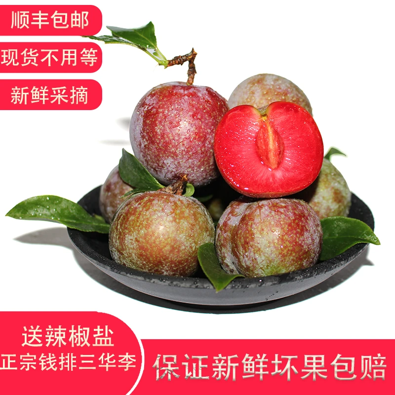 当季新鲜采摘三华李红心李酸脆爽口孕妇水果李子