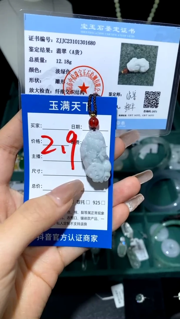 【闪购商品】翡翠吊坠(赠链)未镶嵌貔貅