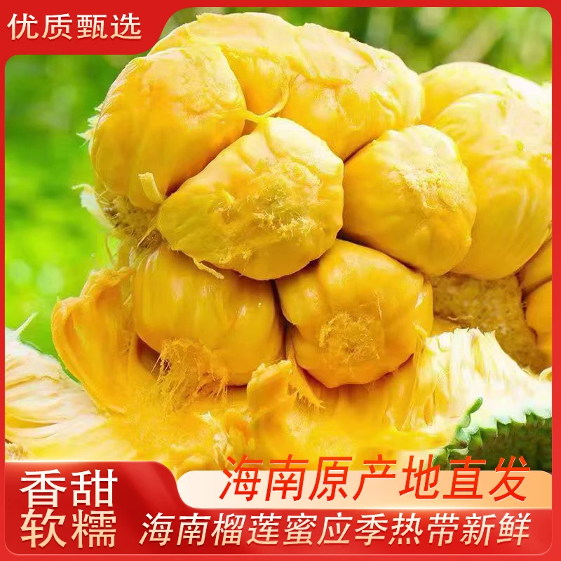 海南新鲜榴莲蜜应季水果软糯香甜整个发