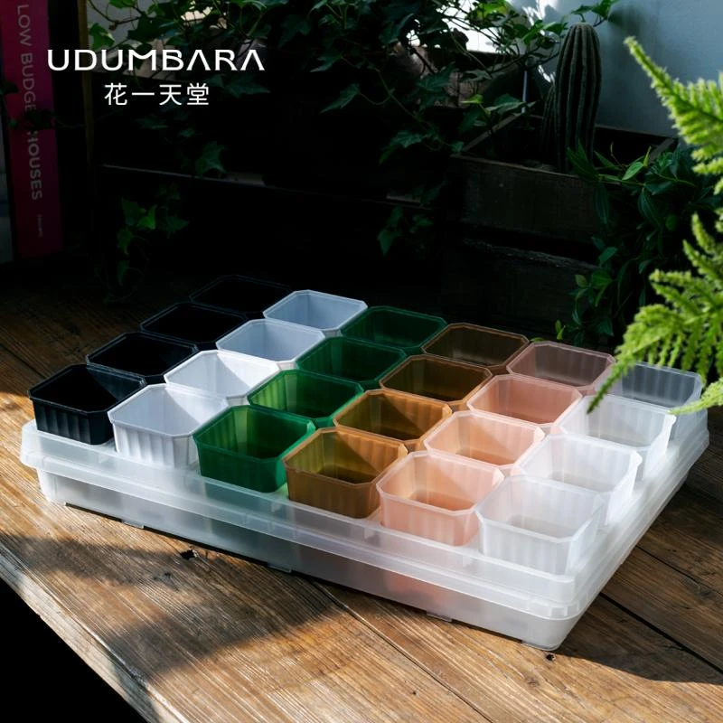 花一天堂半透7方多肉塑料花盆托架浸水盘闷养阳台控养育苗播种盘