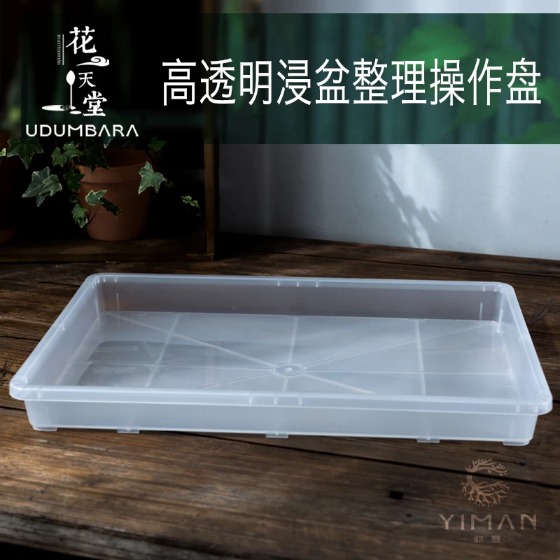 磨砂高透长方形接水托盘多肉花盆整理浸盆花卉绿植种植收纳操作盘