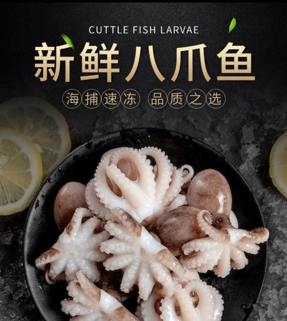 八爪鱼短腿（保鲜不保活），4斤顺丰包邮，海杂鱼等根据图片展示