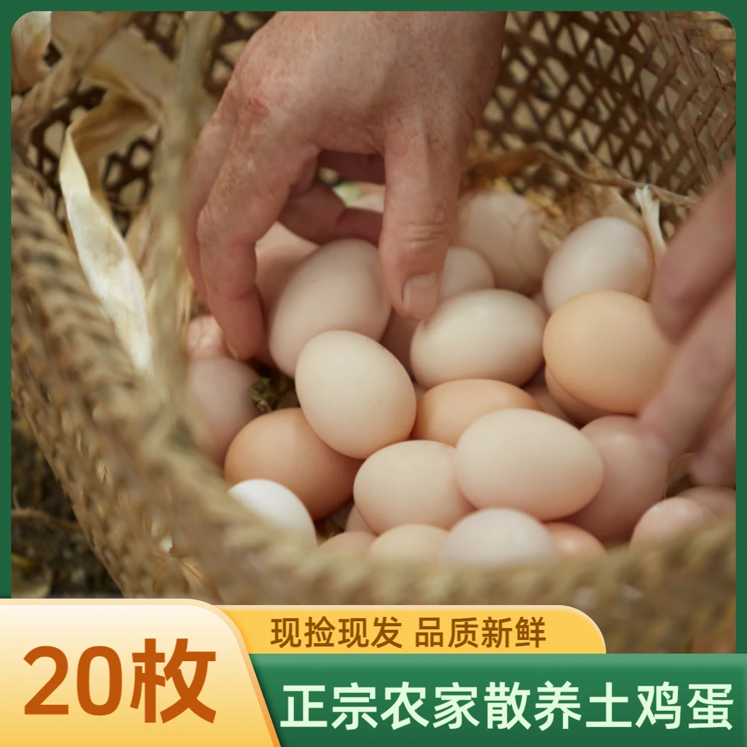 20枚山林散养土鸡蛋新鲜草鸡蛋 40-50克/枚
