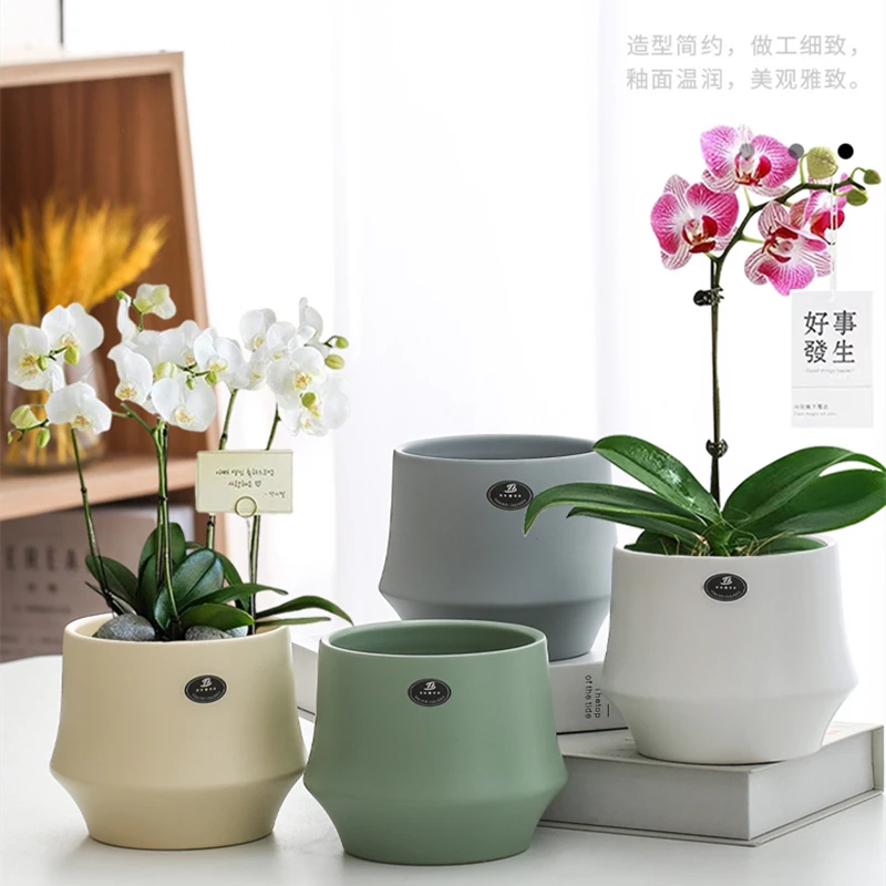 北欧陶瓷花盆家用创意室内简约兰花套盆轻奢高级感白色蝴蝶兰专用