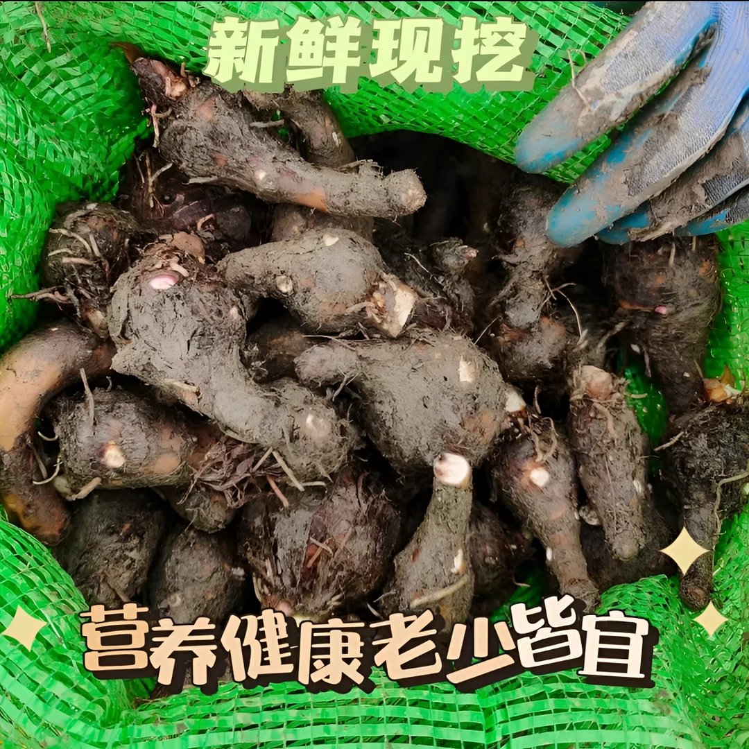 【九哥自营】广东槟榔小芋头农家新鲜粉糯香软自种