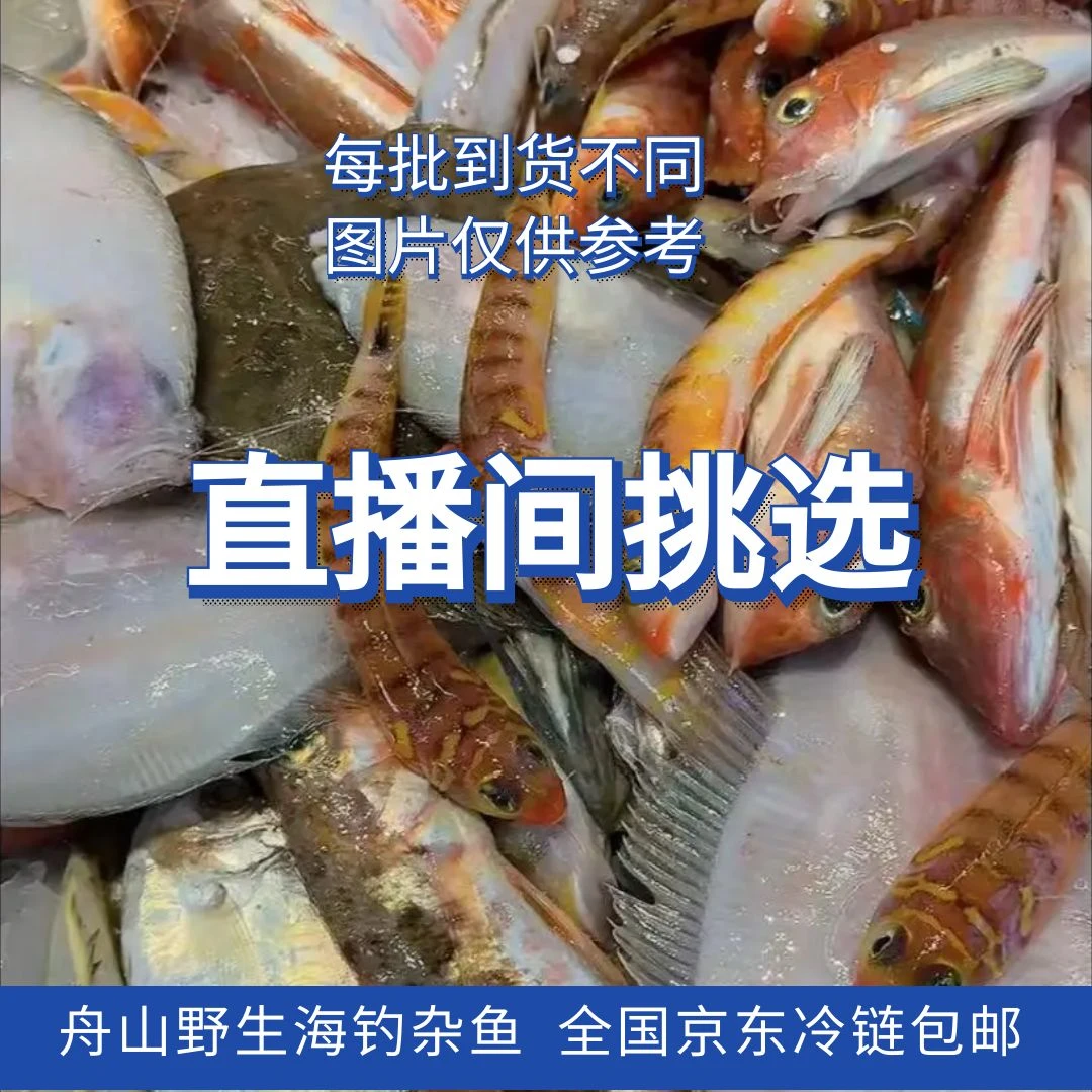 【海钓杂鱼】东海舟山野生海鲜海杂鱼拼盘净重4斤