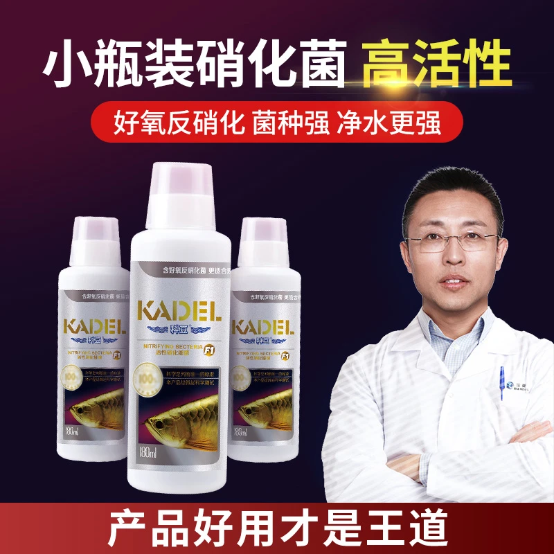 玛豆科豆F1硝化细菌鱼缸水质净化硝化菌告别水白水浑水腥