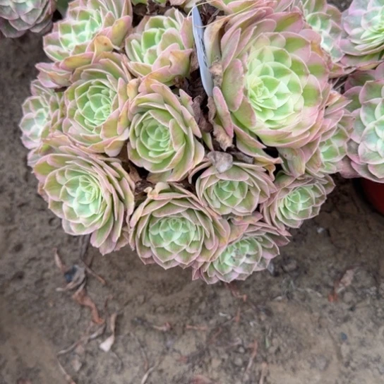 ?**?法师海王16-46