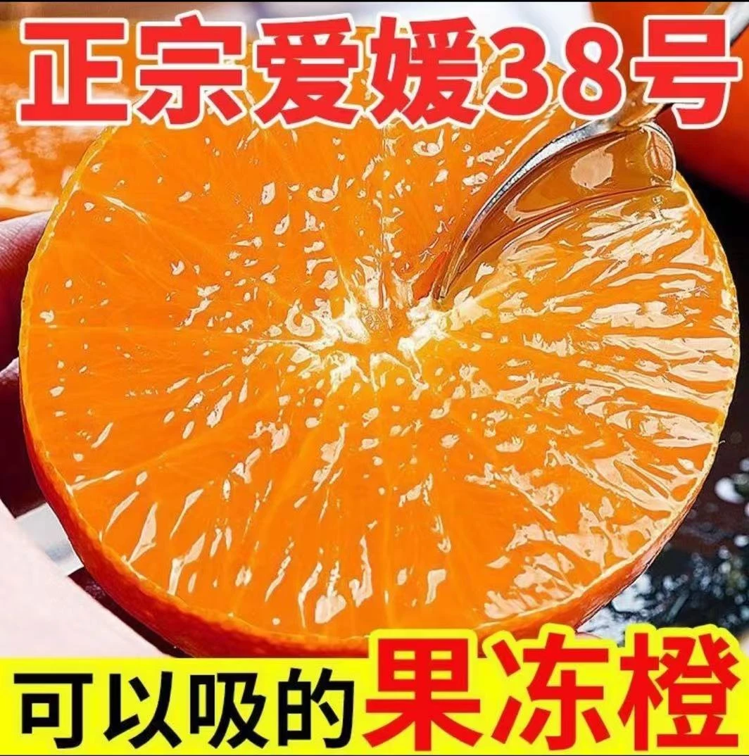 【彩箱】正宗四川爱媛38号果冻橙薄皮手剥橙子孕妇应季新鲜水果