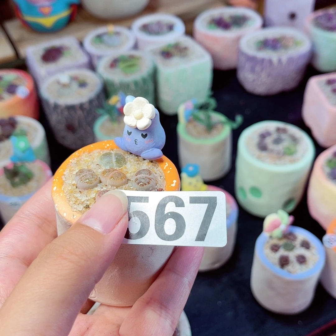 云****叶567.    88888888