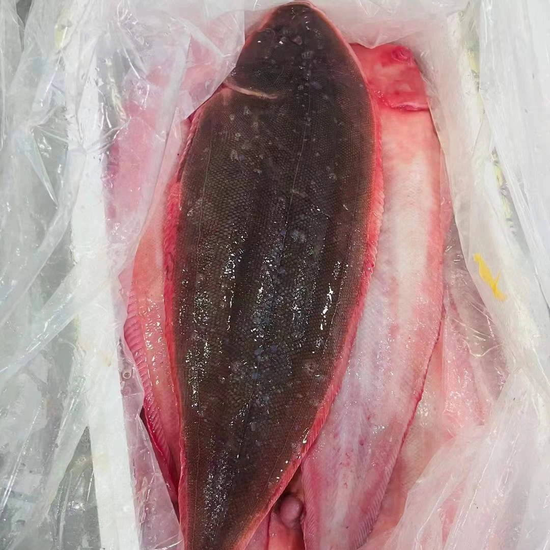 冰鲜鳎目鱼 龙利鱼 生鲜直达未冷冻到北京不超过十二小时