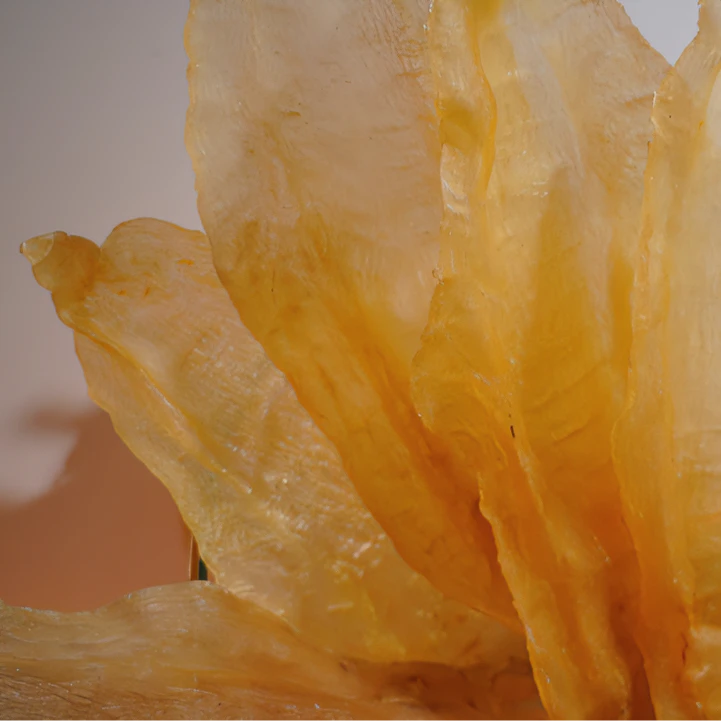 苏里南母胶 孕妈妈高端滋补品 源头直发『可溯源、更放心』