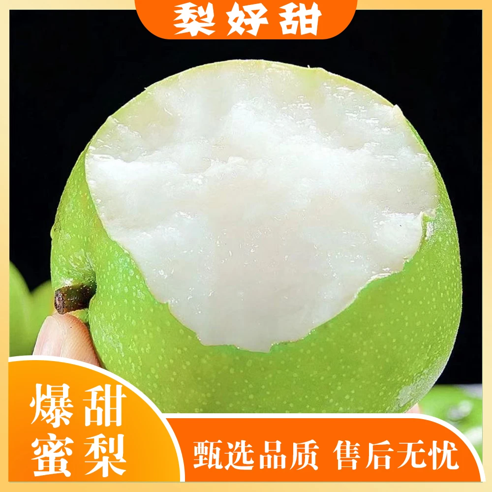 现摘现发正宗砀山青皮蜜梨新鲜应季水果4.5斤包邮砀山梨皮薄爽口