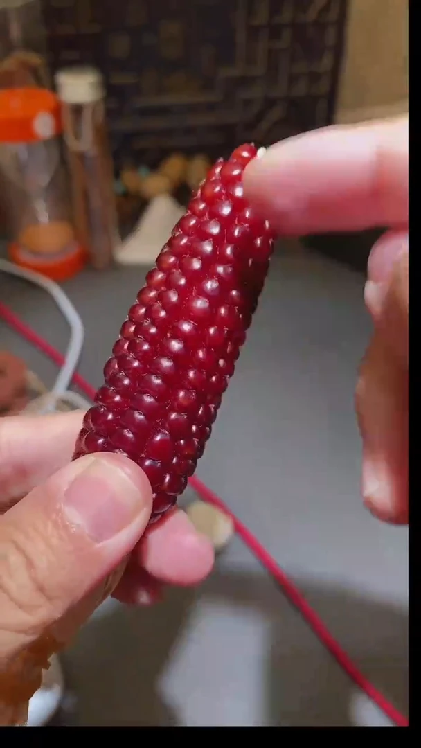 【闪购商品】星月菩提吊坠玉米+龙头+牛阿呆+笔