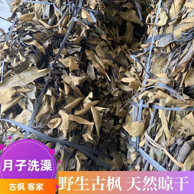 河源和平特产月子洗澡特用泡脚原材料野生古枫新货天然晾晒包邮