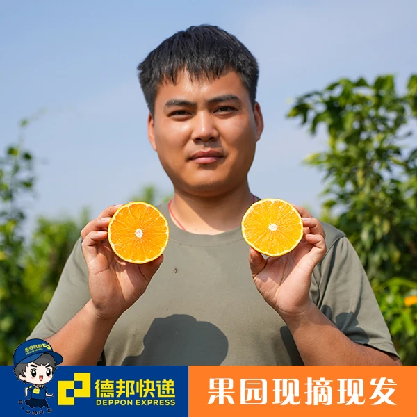 【尝鲜5斤小果带箱】温峡红美人泉水柑皮薄无籽肉质细腻榨汁