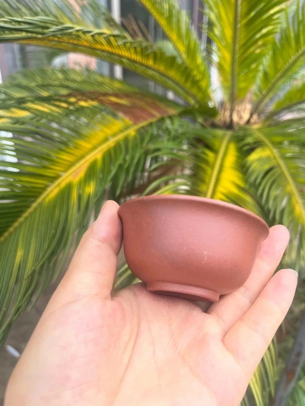 主人杯紫泥70cc左右无添加部分会有封釉现象拍一发二钢模滚压成型