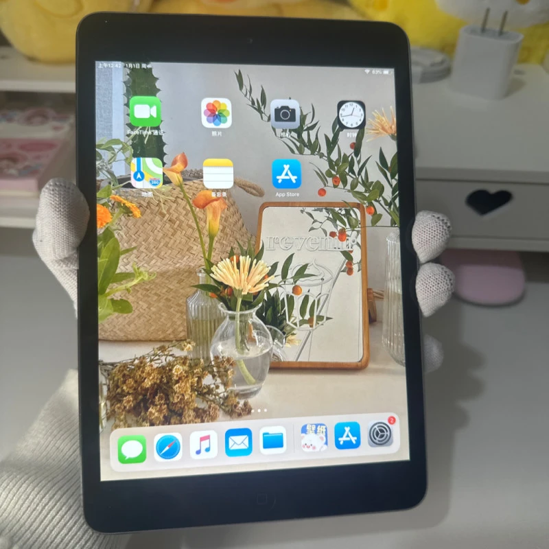 95新 Apple/苹果 iPad mini 7.9英寸 平板追剧看电影专用娱乐平板