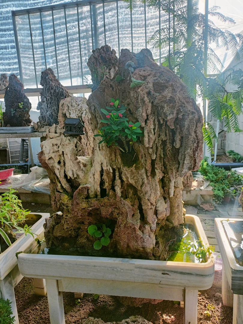 纯天然吸水石盆景 适合小院楼房企业 摆放流水生财