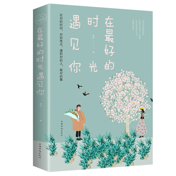 在zui好的时光遇见你青春文学校园言情