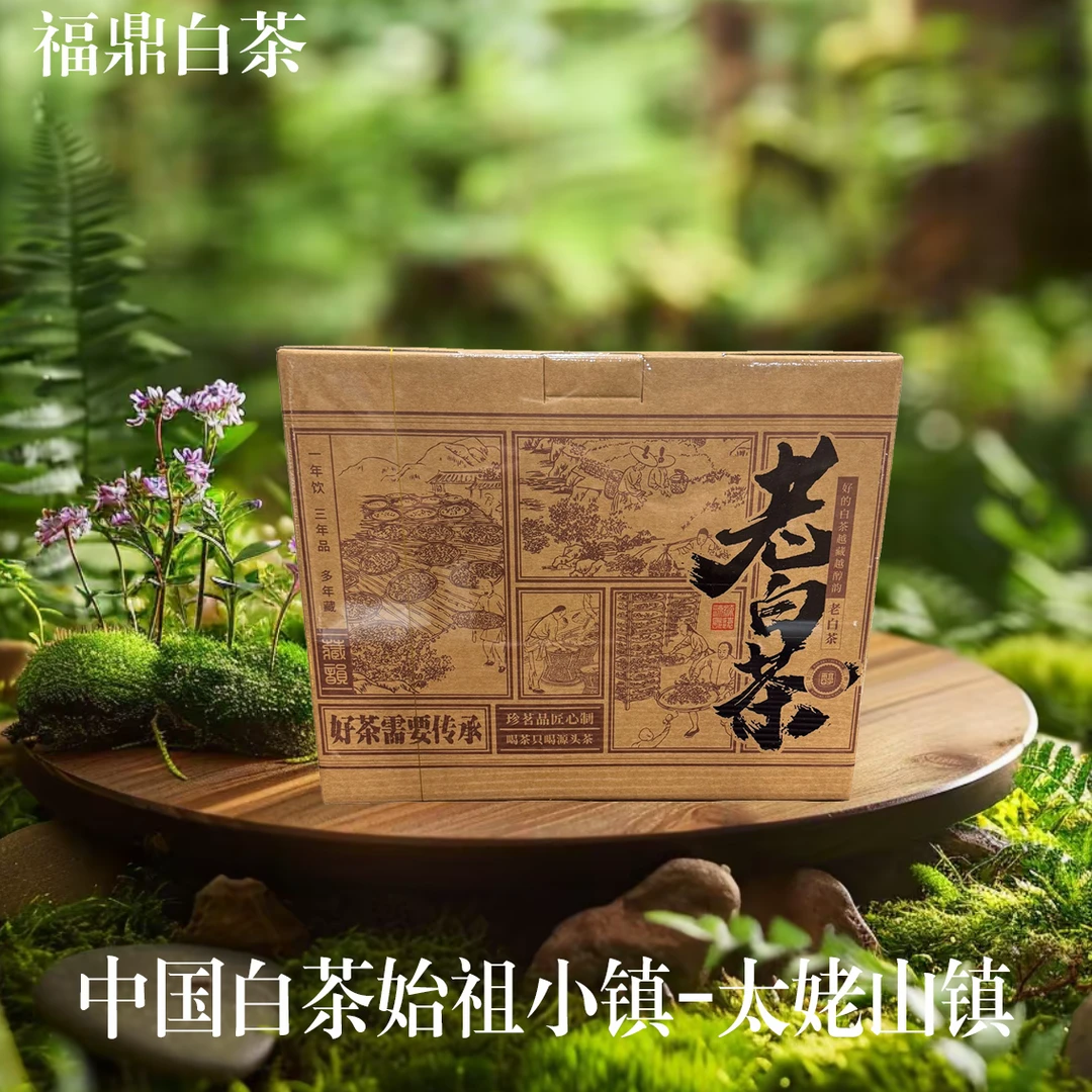 【福鼎白茶】老白茶2012荒野贡眉500克群体种小菜茶 源产地太姥山