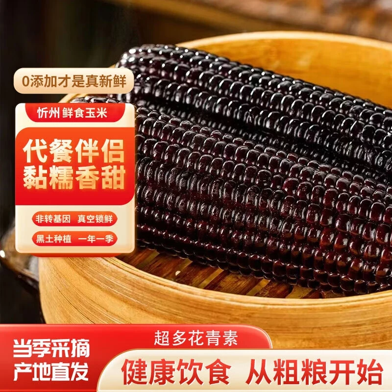 【主播精选】黑糯玉米8根大棒装山西忻州产地头茬糯玉米非转基因