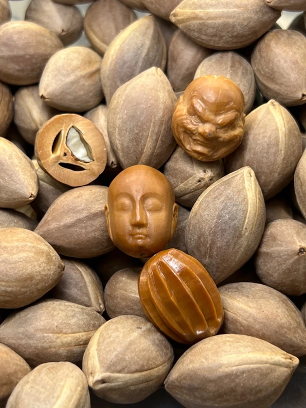 橄榄核原料罗汉料 新核 宽1.678一斤 长2.5-3.0cm 极少部分有紫皮