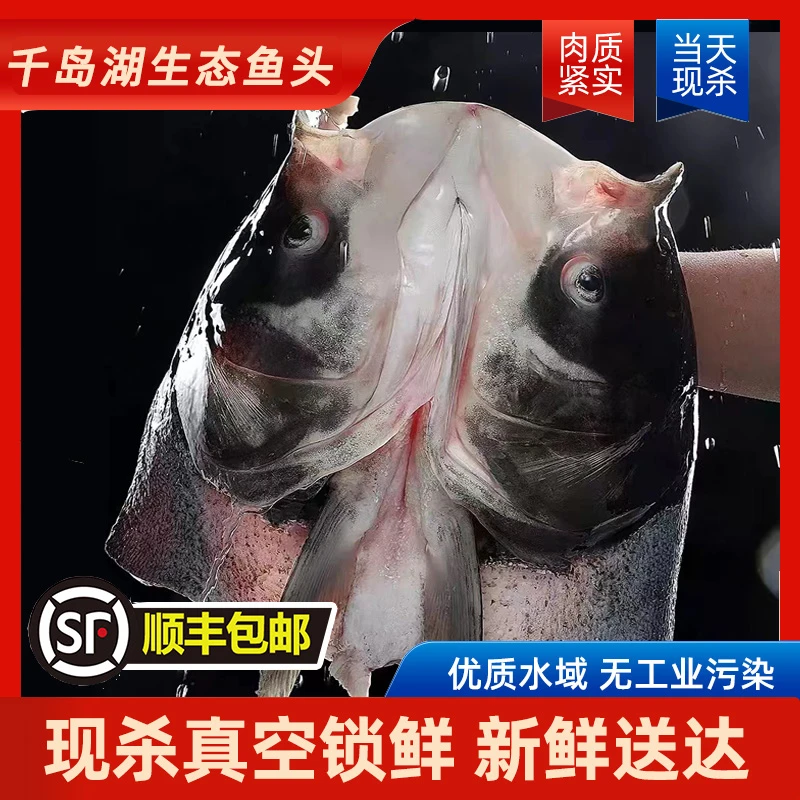 【鲜鱼头-现杀】千岛湖生态胖头鱼鱼头3斤新鲜营养活鱼现杀顺丰发货