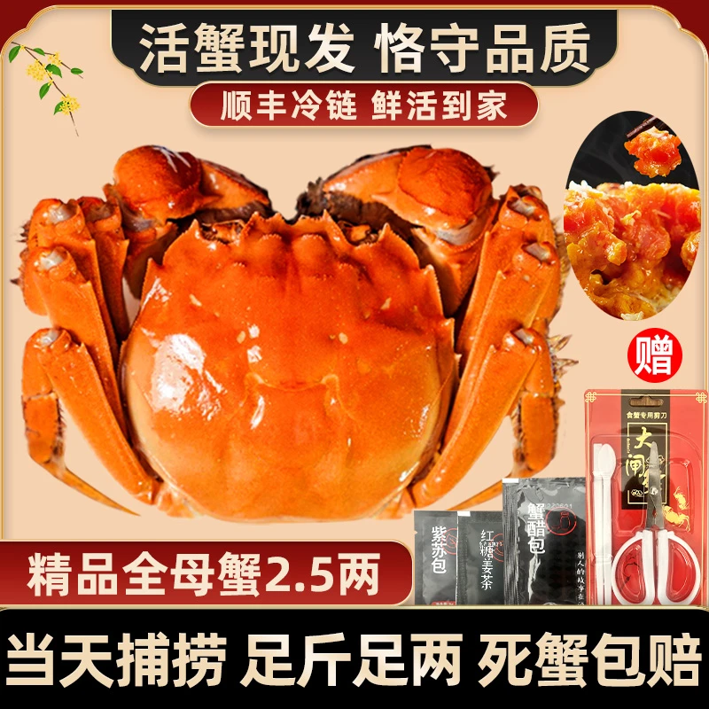 【活蟹现货】惠澄大闸蟹精品全母活蟹2.5两8只礼盒装螃蟹只只饱WT10