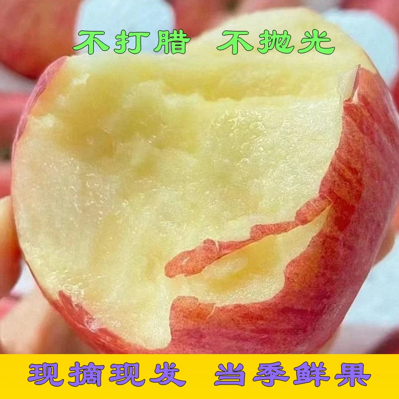 河南省三门峡陕州区SOD苹果红富士脆甜冰糖心水果年货平安果礼盒